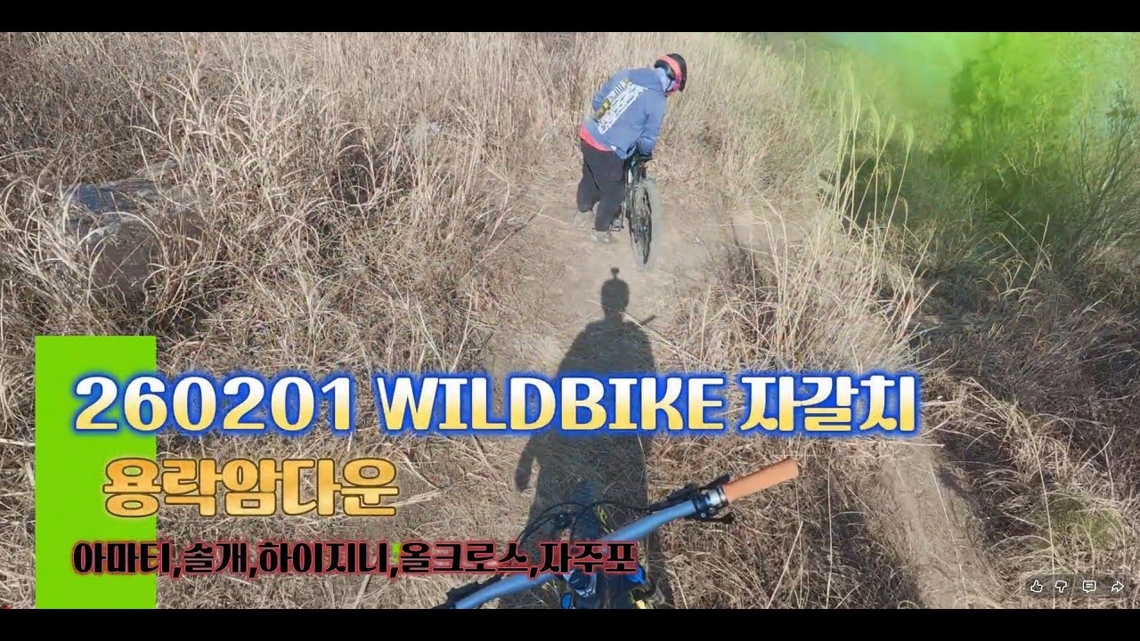 260201 #와일드바이크자갈치 #금정산#아마티#솔개#하이지니#올크로스#자주포#후라이#용락암