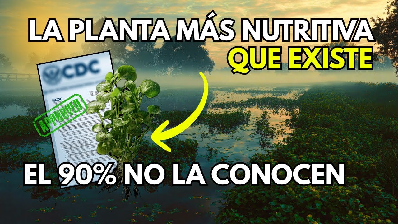 Esta es LA PLANTA mas NUTRITIVA DEL PLANETA ¡Respaldada por la CDC de Estados Unidos!
