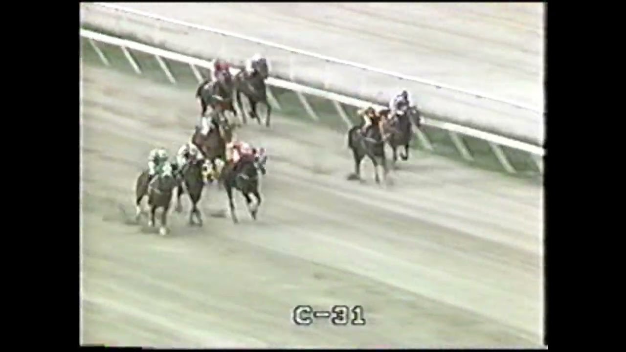 El caballo SILLONERO pupilo del Stud Sacedon derrota a un lote de clase en esta interesante carrera.