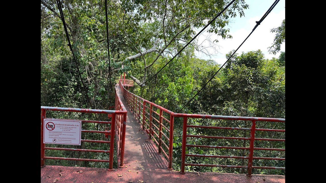 Подвесные мосты Canopy Walkway ￼ в ботаническом саду  провинция Транг Таиланд ￼￼￼￼