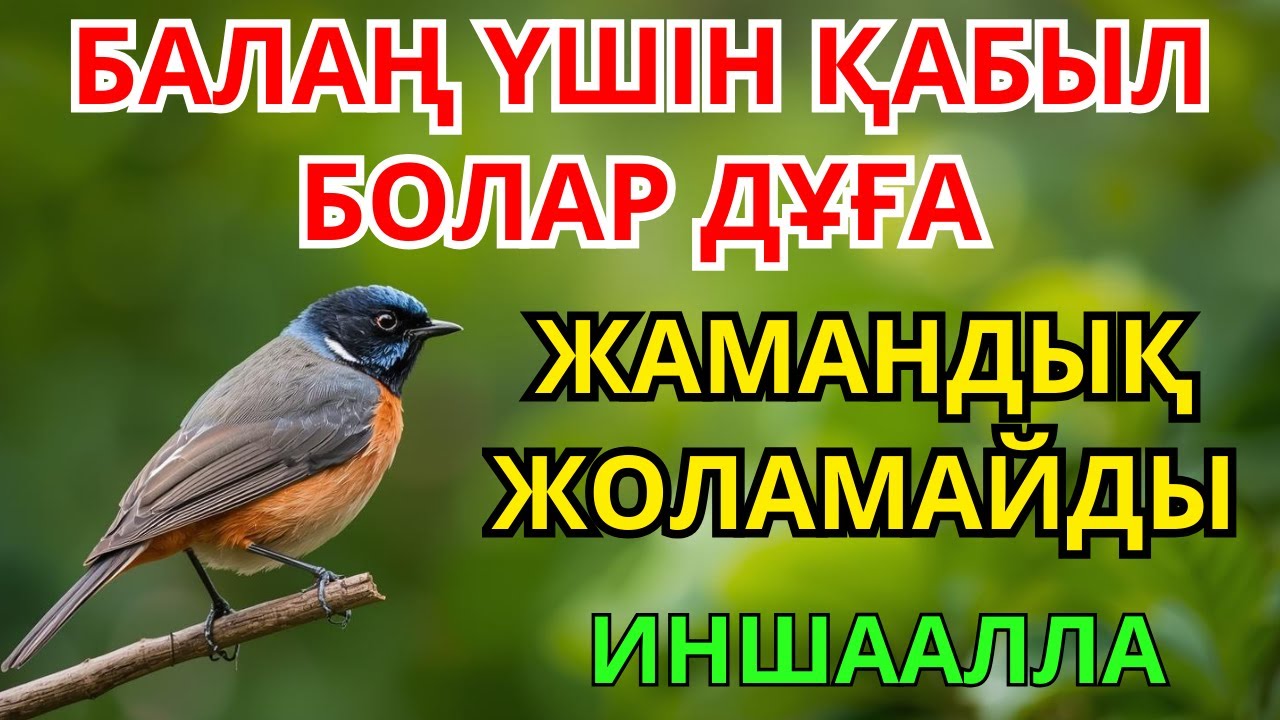 БАЛАҢНЫҢ ЖОЛЫ АМАН БОЛУЫ ҮШІН ОҚЫЛАТЫН ДҰҒА