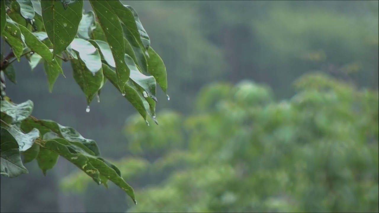 Bodikhuu - The Meaning of Love /2012/