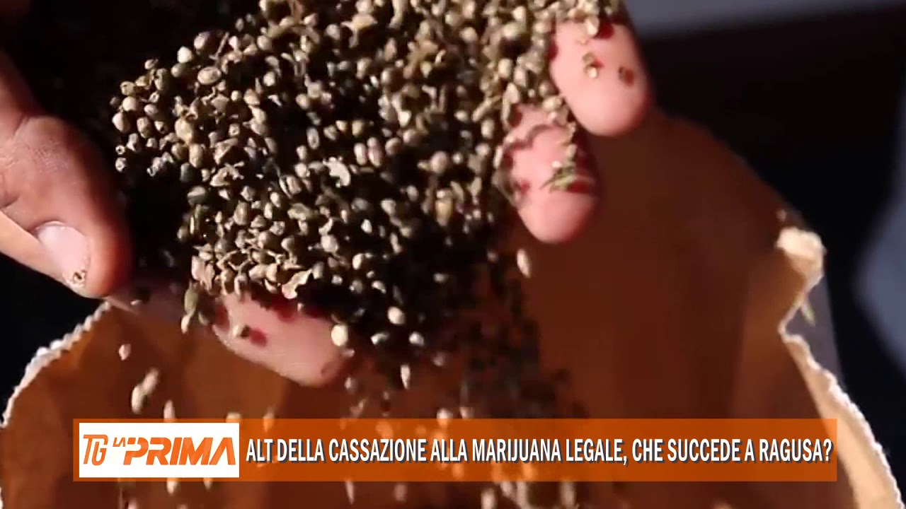 Alt della Cassazione alla marijuana legale, che succede a Ragusa?