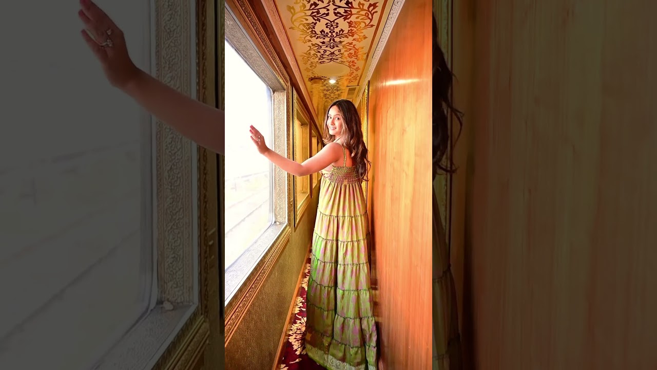 Palace On Wheels | Luxury Train India | #palaceonwheels #reel #youtubeshorts