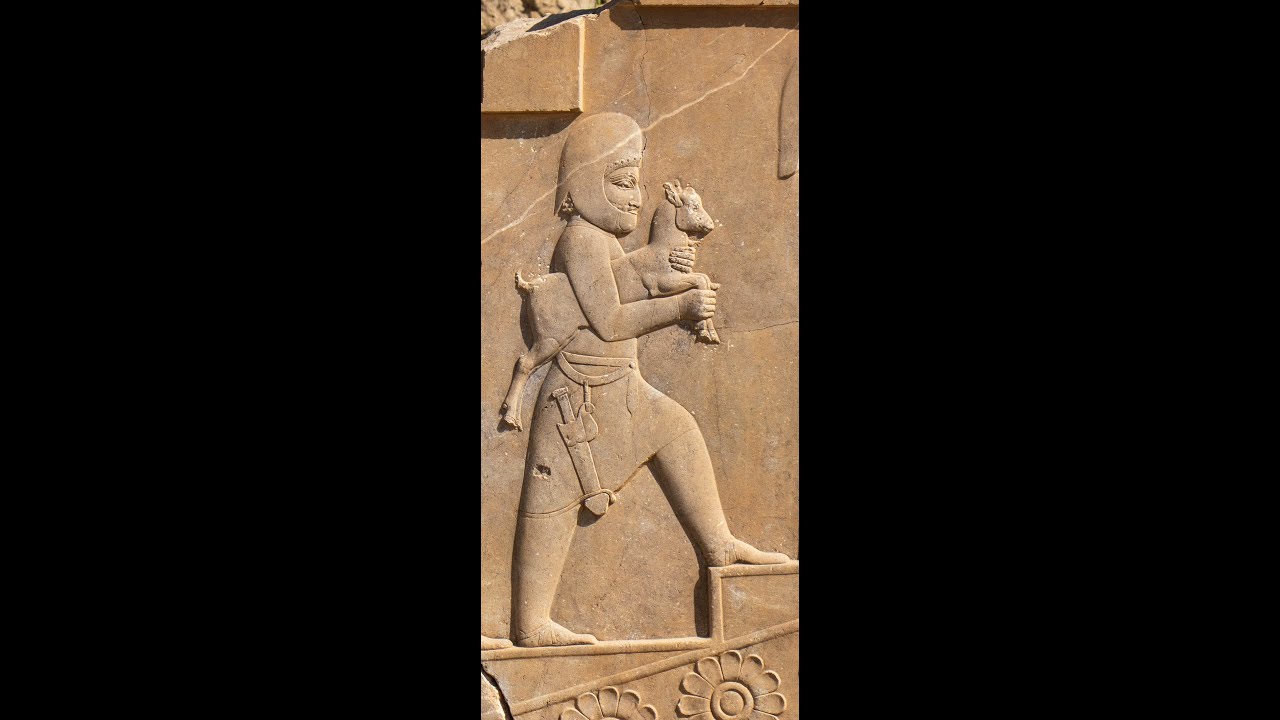 أصل 