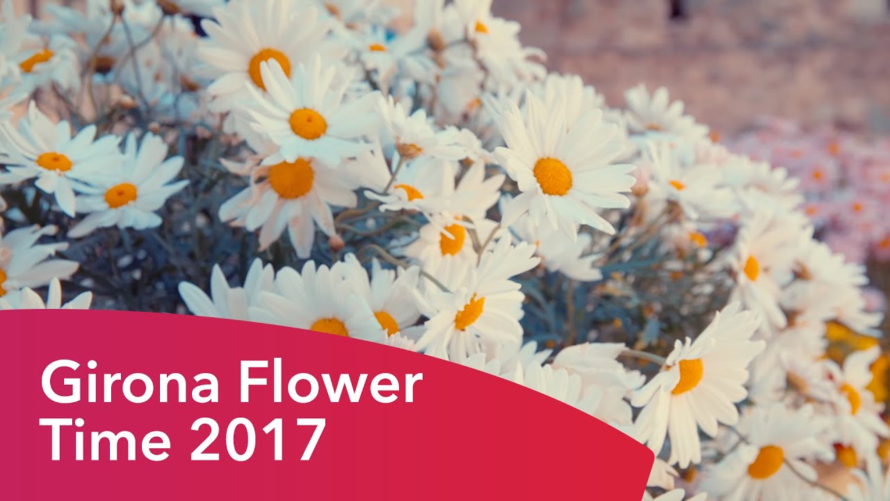Girona Temps de flors 2017
