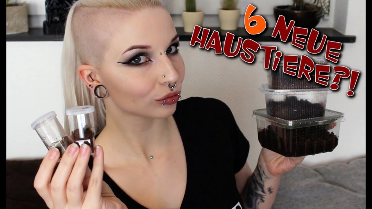6 neue Haustiere?! | Reptilienbörse Haul | ❄ Lilith Whitic ❄