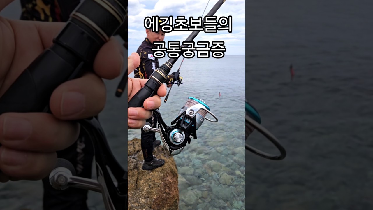 에깅초보,내꺼만이상한가?#샤크리#에깅