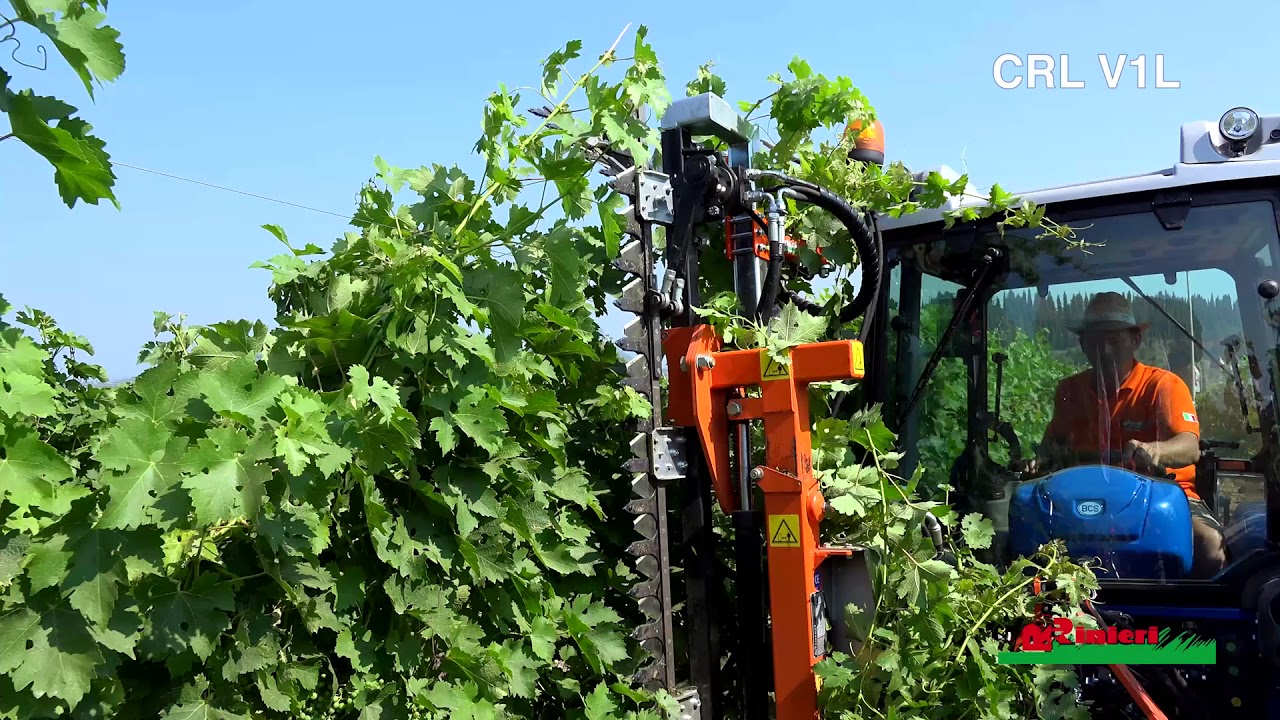 Cimatrice CRL Vision 1L Rinieri