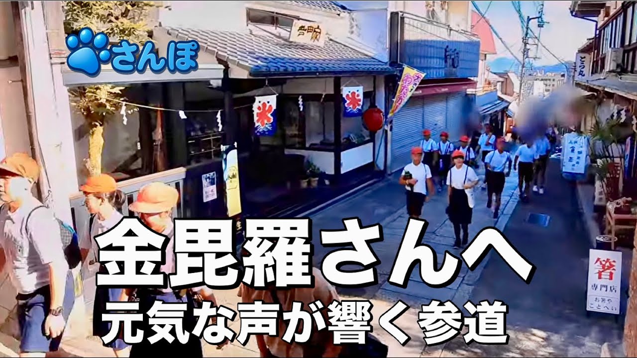 【香川県・琴平町】金毘羅奥の院参拝　天狗の気配を感じて | Visiting Konpira Inner Shrine – The Spirit of Tengu Awaits　 #散歩 #Walk