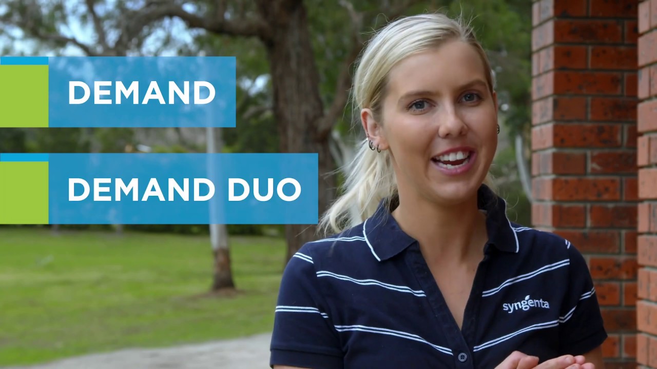 Talking Pest Control: Where to use Demand vs Demand Duo