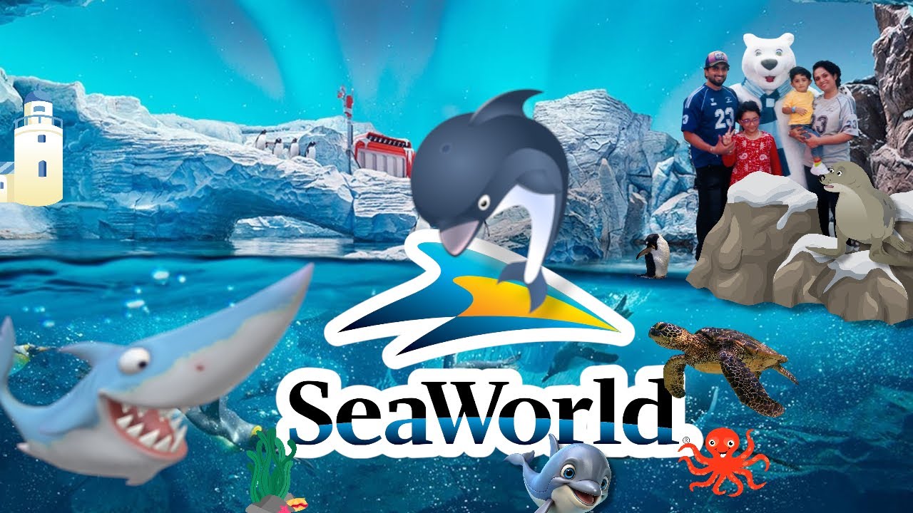 🐬 Exploring SeaWorld Abu Dhabi | Full Tour & Experience 2025