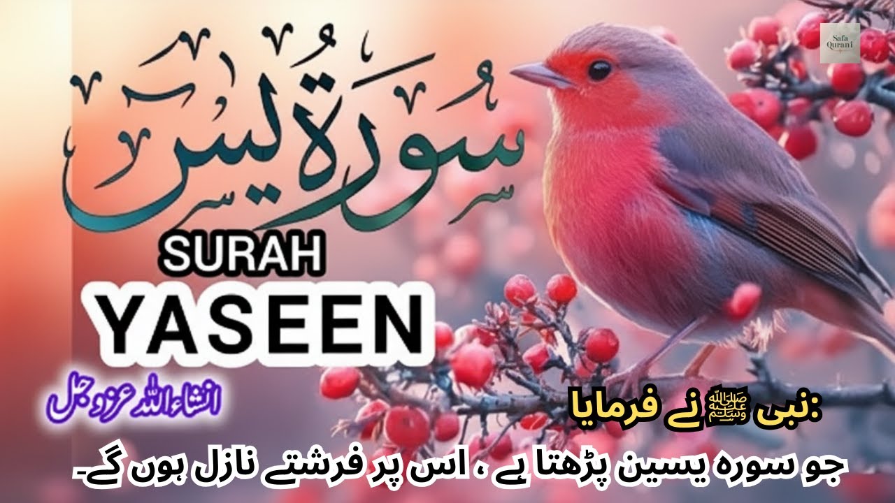 Surah Yaseen\Yasin{سورۃ یاسین} || Best Tilawat Heart 💝 of QURAN in the world 🌍 ¦¦ For Blessings