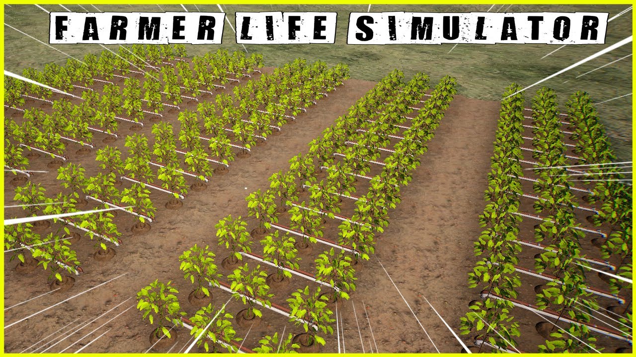 COMPREI TODOS OS LOTES DE TERRA E PLANTEI A FRUTA MAIS CARA DO JOGO - FARMER LIFE SIMULATOR2.0 #05