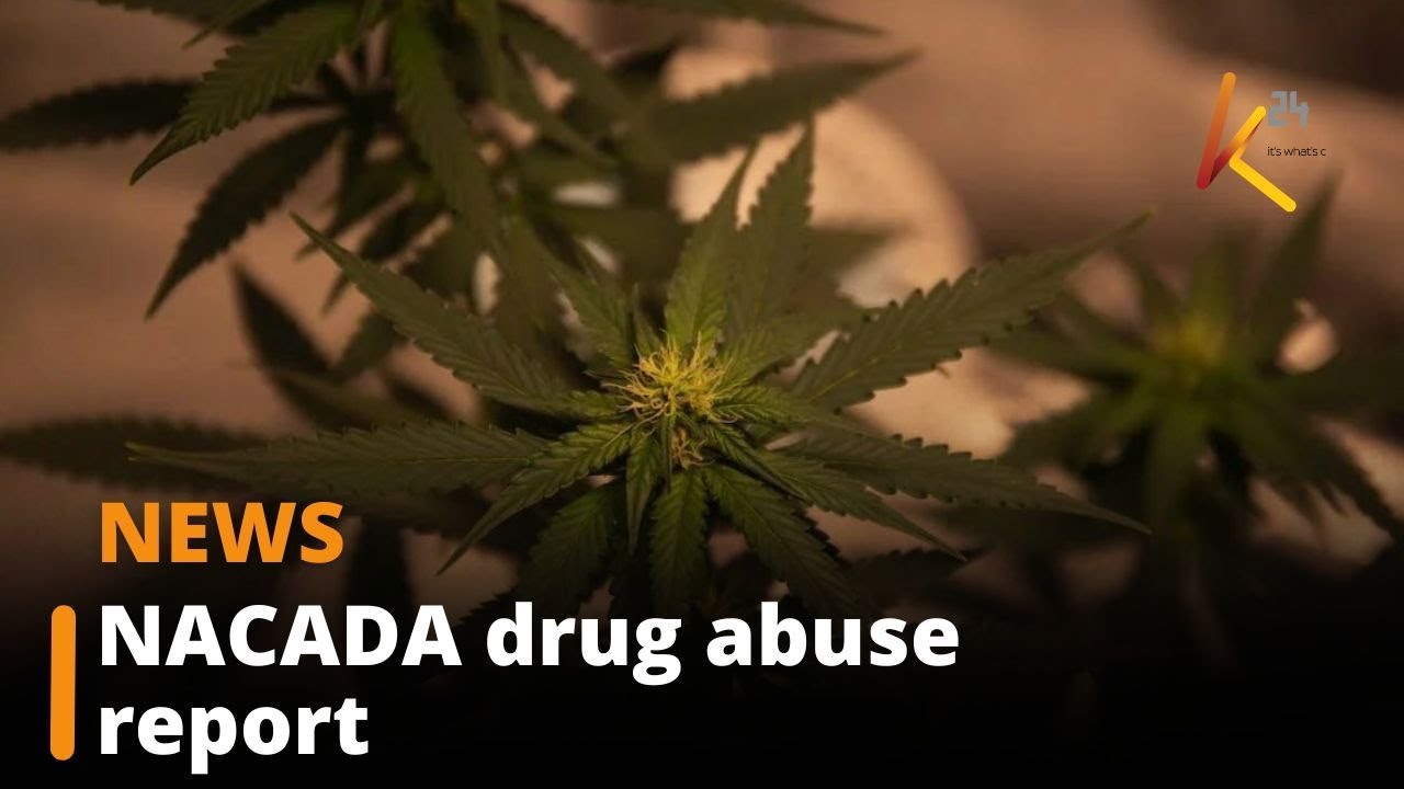 Nairobi has the highest concentration of cannabis users