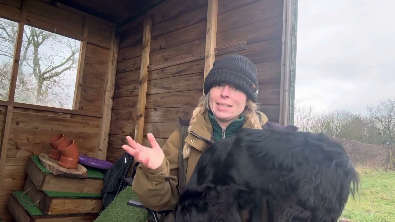 Gundog Training : Off lead Heel work The catch up game !!