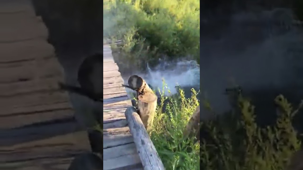 тези луди руснаци