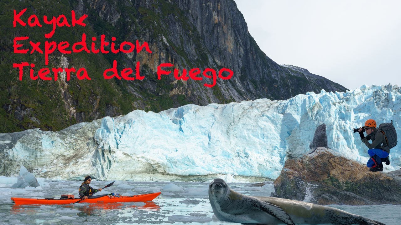 Kayak-Expedition: Tierra del Fuego - Fiordo Parry - Wildlife