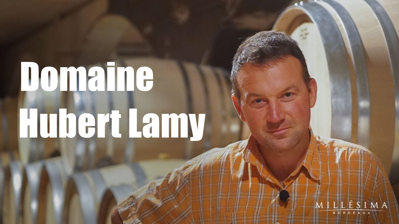 DOMAINE HUBERT LAMY - BOURGOGNE - MILLESIMA