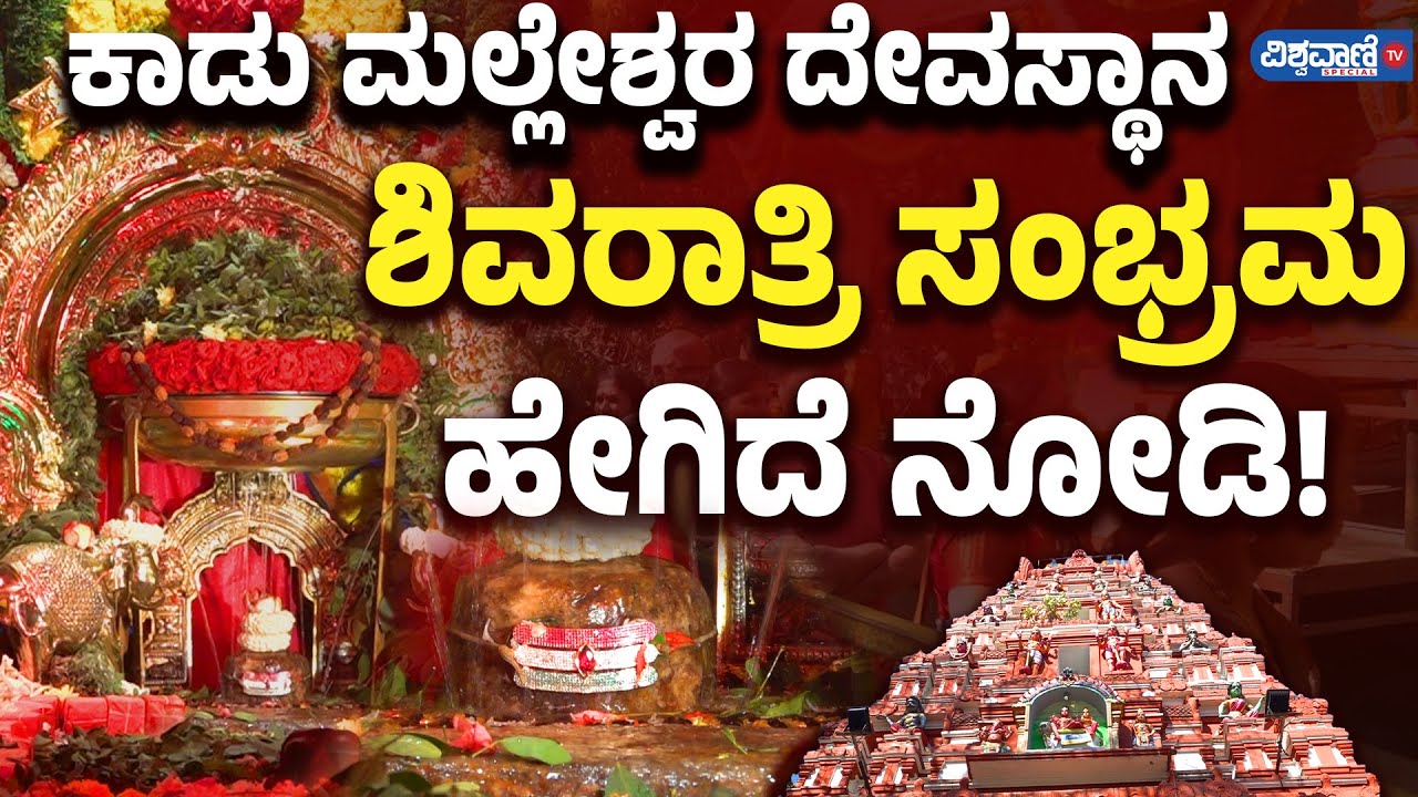 Kadu Malleshwara Temple| ಕಾಡು ಮಲ್ಲೇಶ್ವರ ದೇವಸ್ಥಾನದಲ್ಲಿ Shivaratri ಸಂಭ್ರಮ |Vishwavani TV Special
