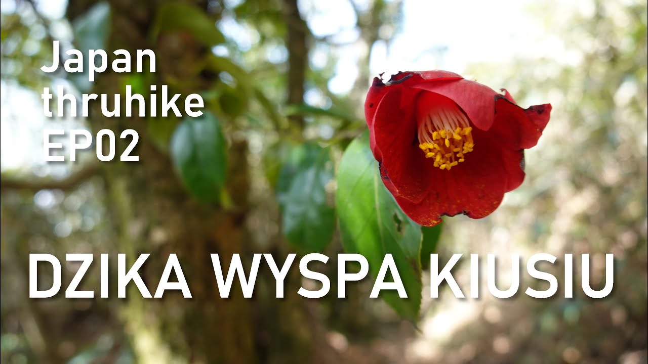 Japan thruhike EP02 || Dzika wyspa Kiusiu. G&oacute;rski szlak i gościna u japońskiej rodziny