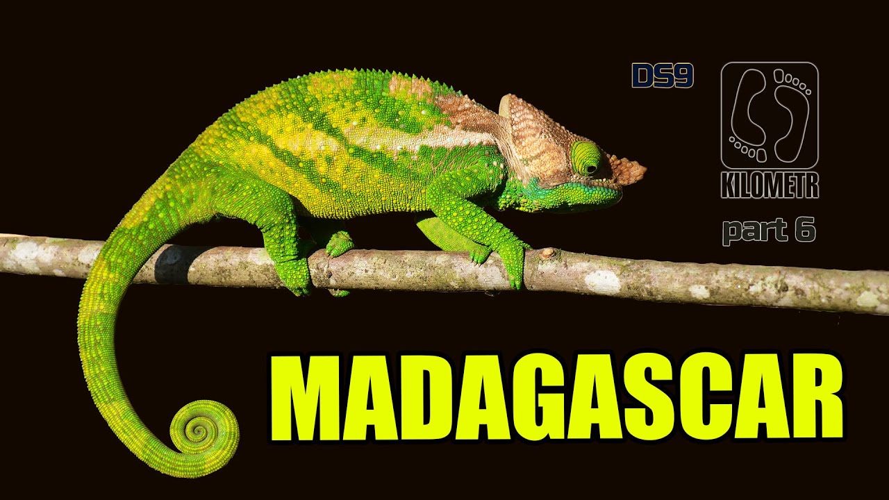 Madagascar 2025 6/6