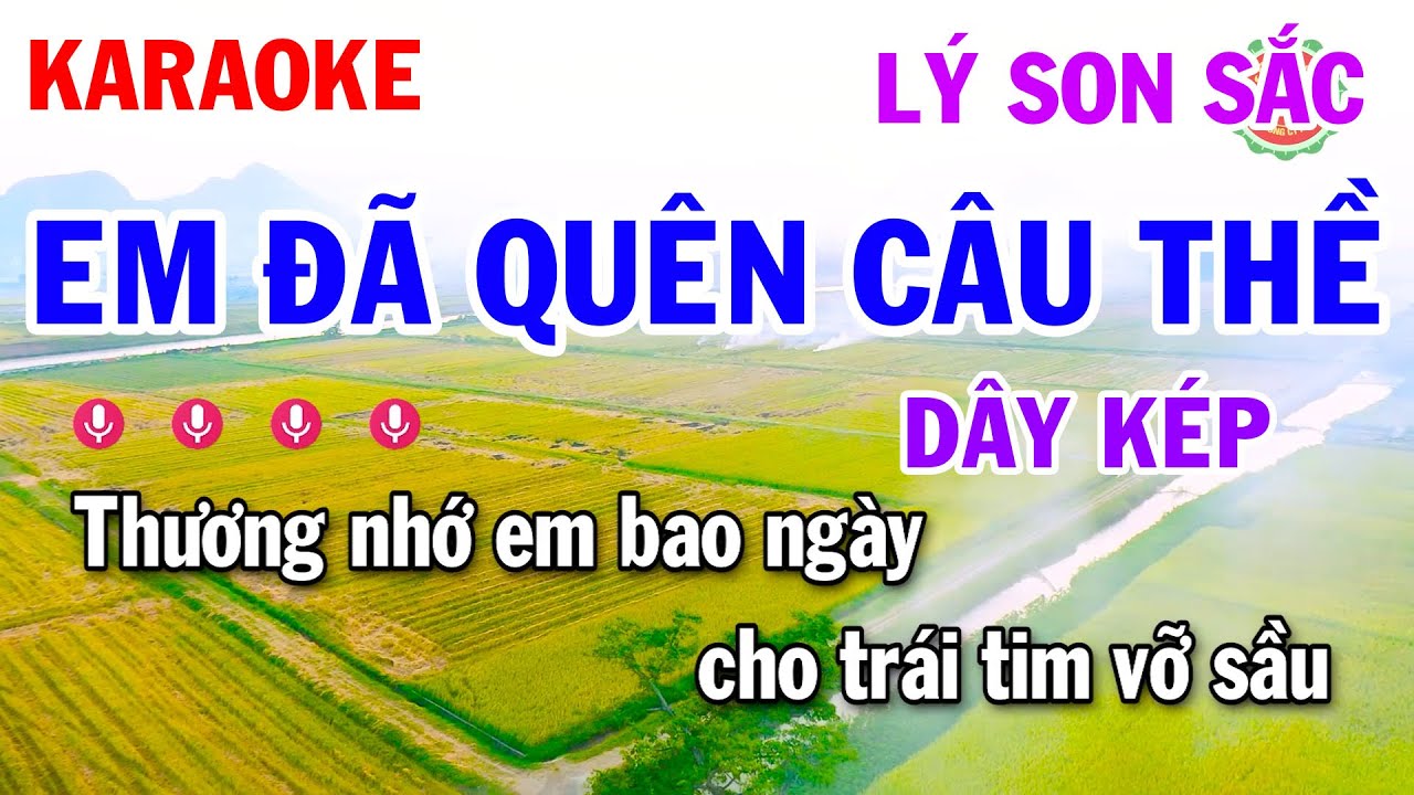 Karaoke Điệu Lý || Lý Son Sắc Dây Kép 4 Lớp || Em Đã Quên Câu Thề