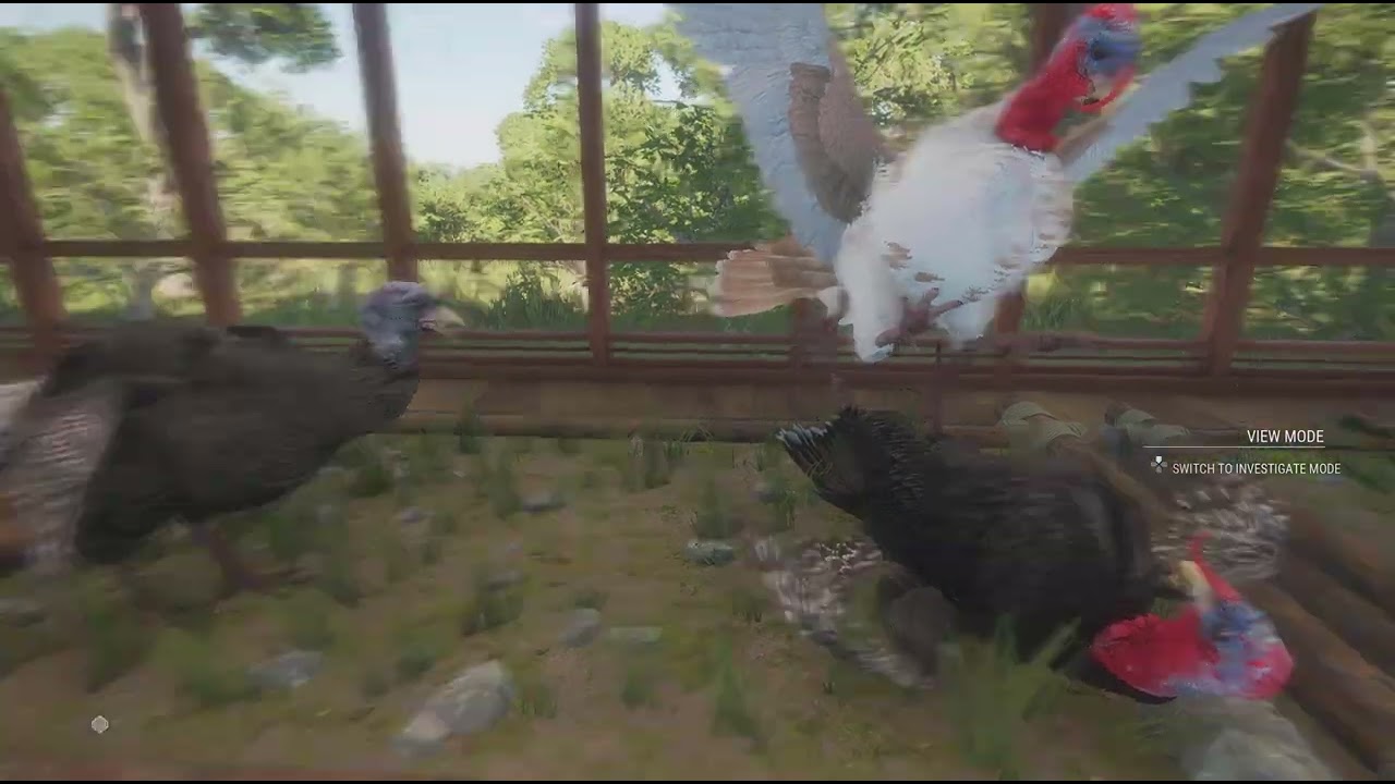 theHunter: Call of the Wild_20260119183443