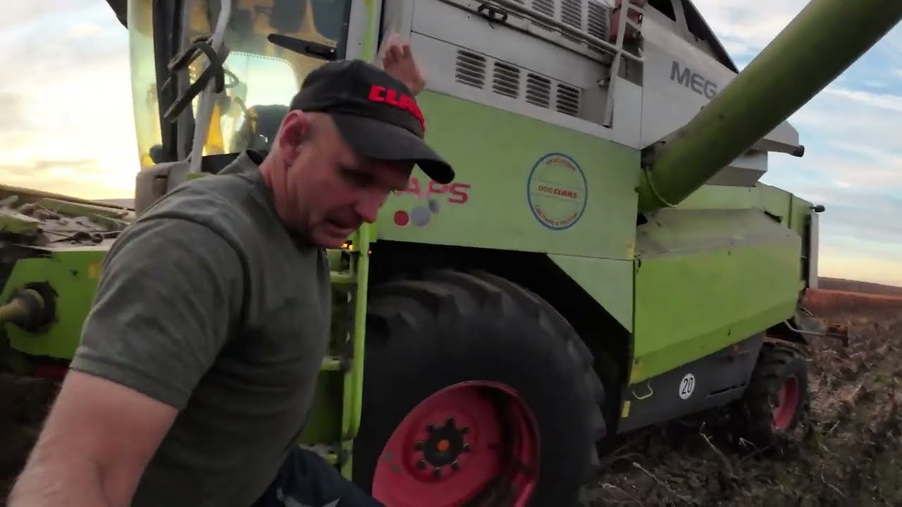 Claas mega. Уборка подсолнечника.