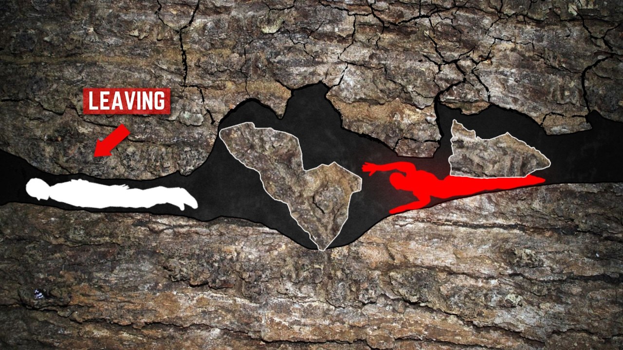 The Cave Tragedies ALL Cave Enthusiast's MUST Watch!!! Cave Exploring Gone Wrong | Compilation
