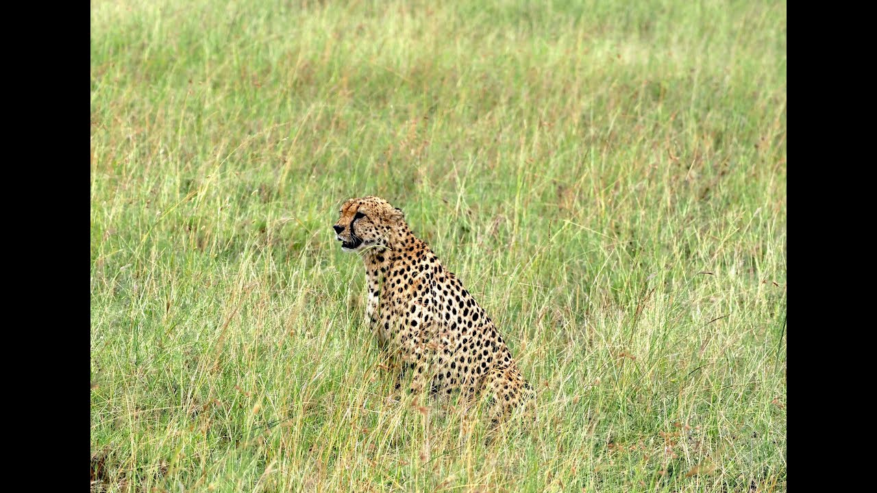 Kenya 2025