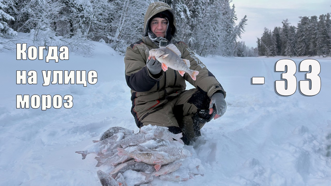Испытание Етыпуром: Как три рыбака и две мотособаки искали рыбу в –33°C. Зимняя рыбалка 2026.