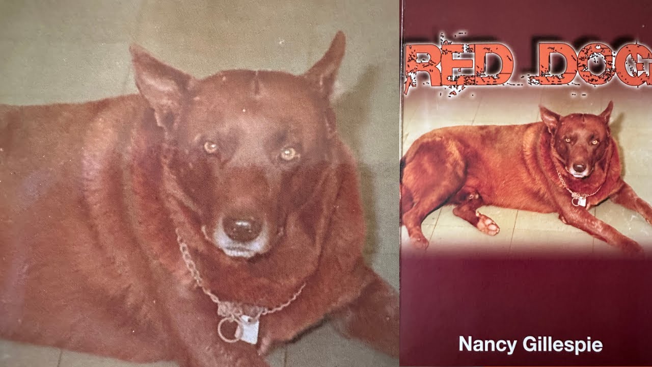 RED DOG - NANCY GILLESPIE