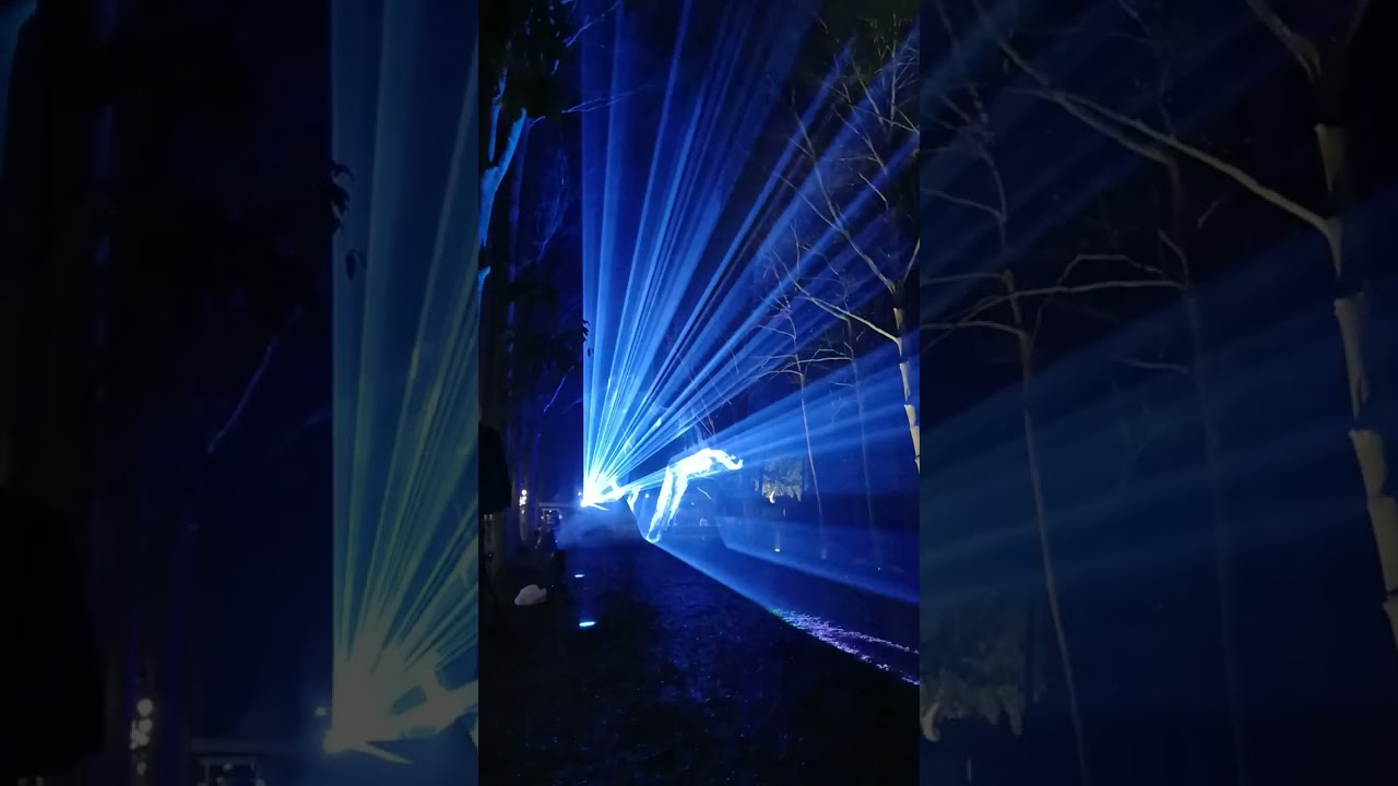 #虎山林場 點亮成功 森林燈會