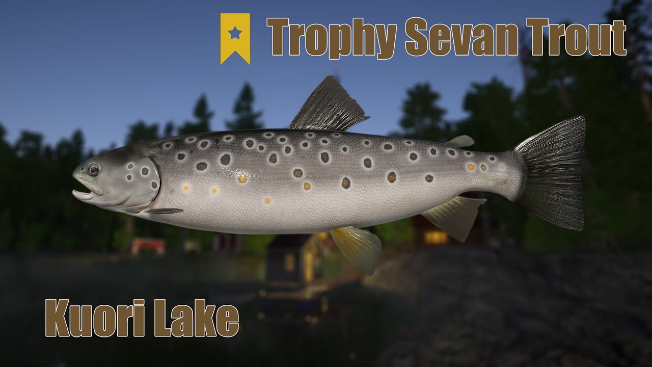Russian Fishing 4 - Kuori Lake, Trophy Sevan Trout