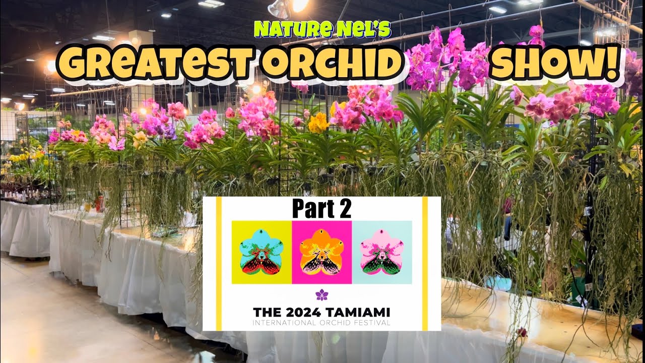 Part 2 of THE GREATEST ORCHID SHOW IN THE U.S. We continue at this amazing orchid event in Miami.