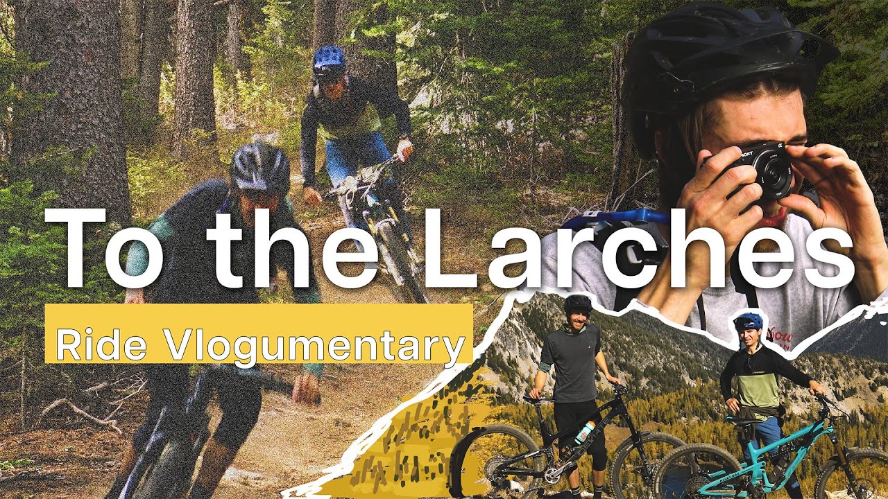 LARCH MADNESS // All-time Fall-time in Angel's Staircase | Vlogumentary