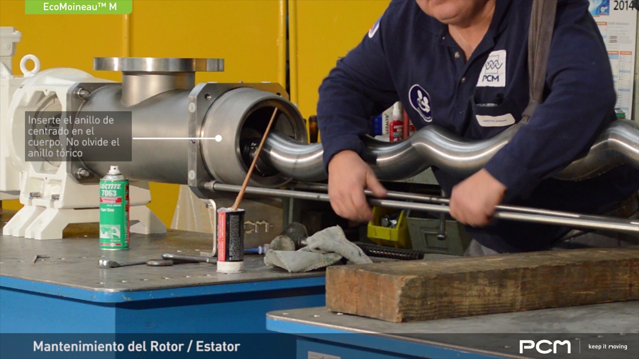 PCM EcoMoineau™ C8 Bomba - Mantenimiento del Rotor / Etator - Español
