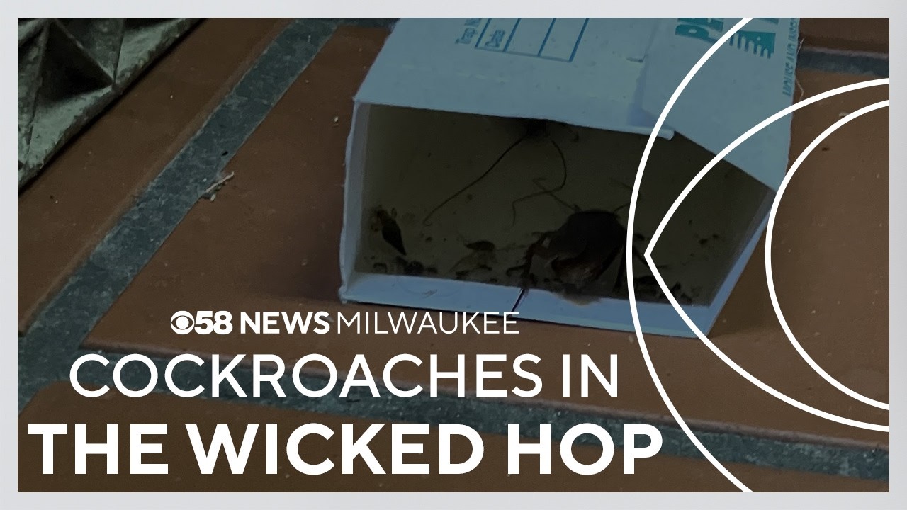 Cockroaches found during health inspection at The Wicked Hop forces temporary closure