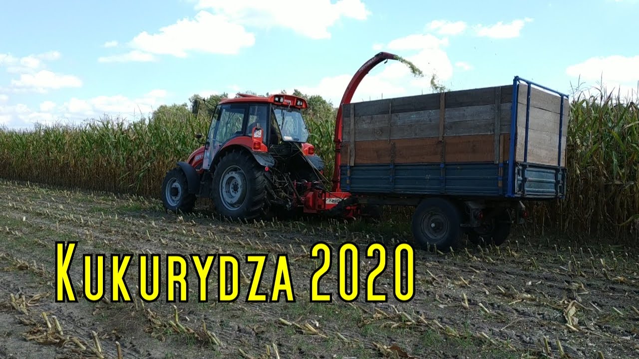 2 hektary w 2 dni 🤯 || Kukurydza w pryzmę 2020 || Ursus 6024 & Pottinger Mex I