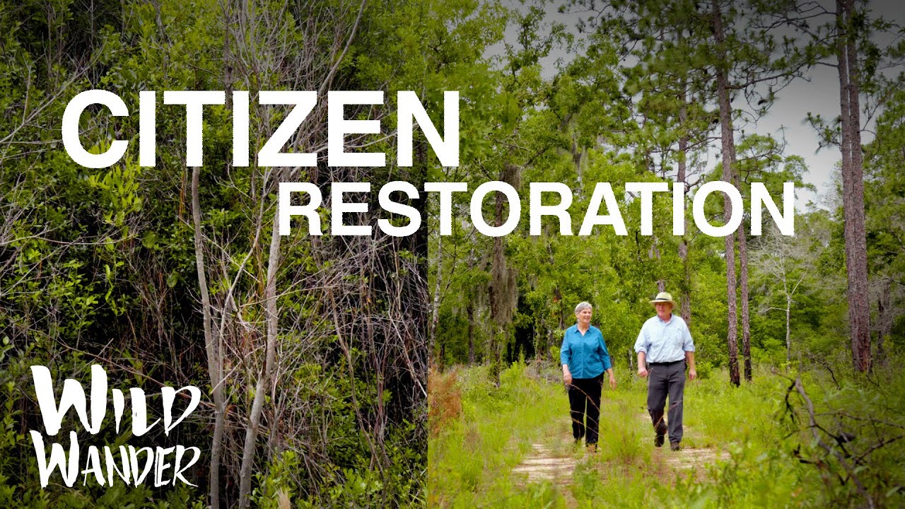 Longleaf Pine Land Stewardship Project | Florida Ecosystem Restoration