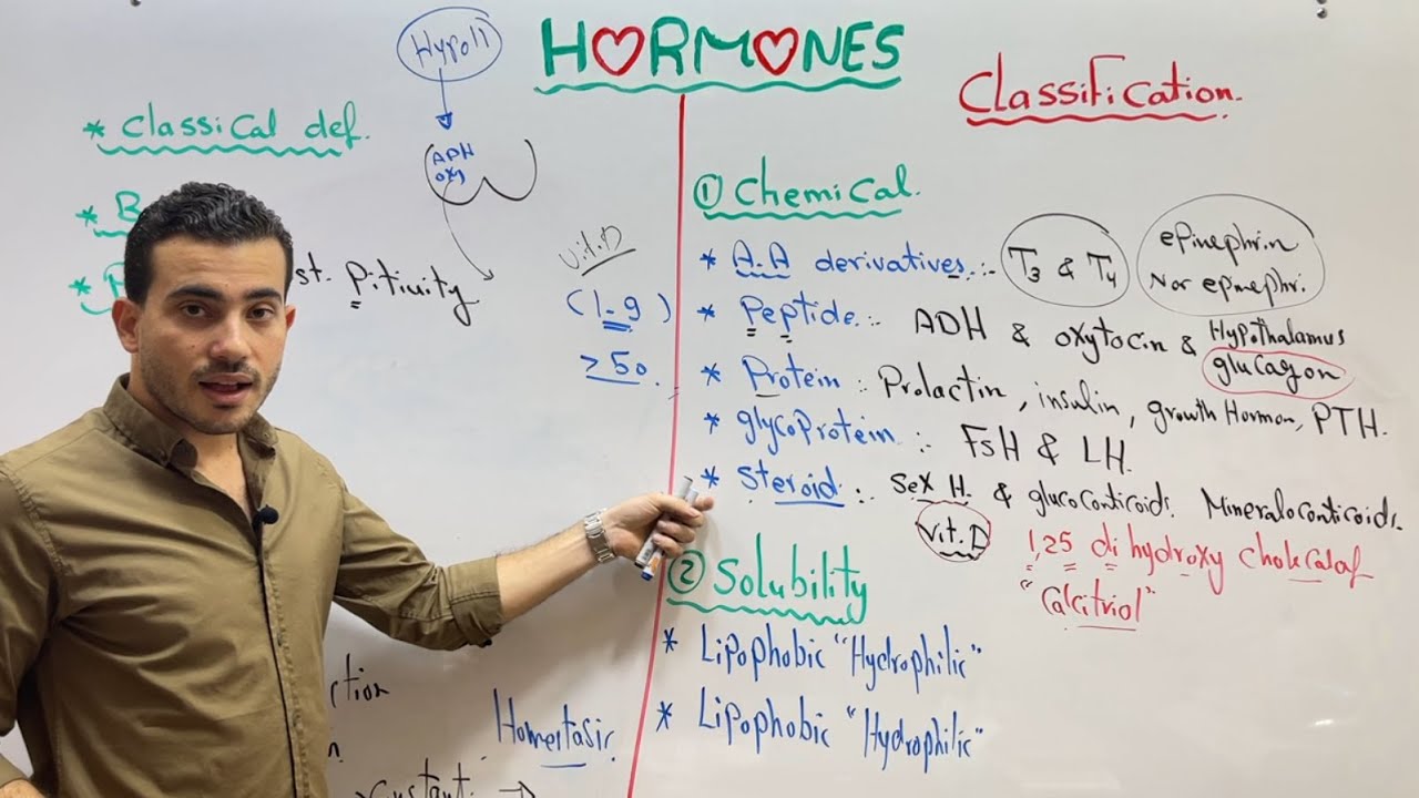 Endocrine 1 Dr Ibrahim El-Husseiny