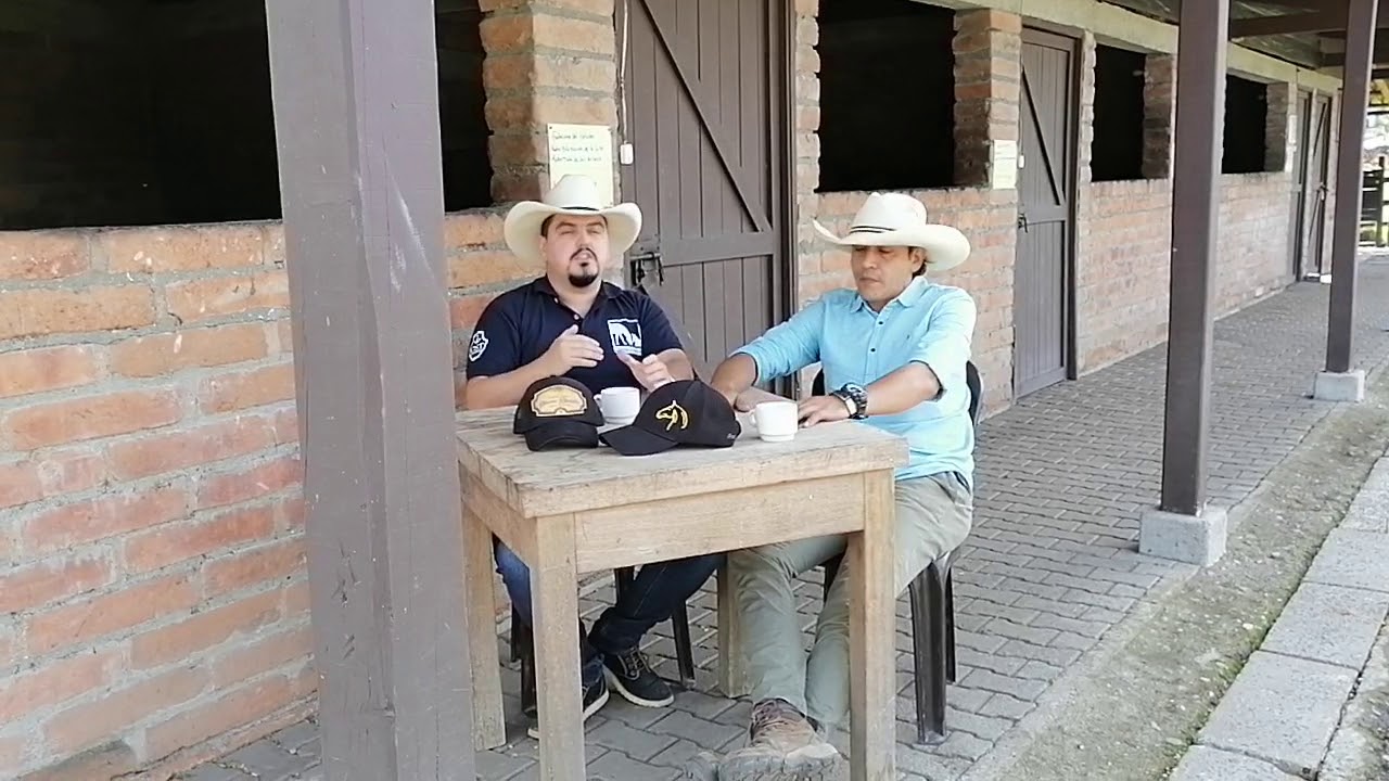 Manejo inteligente de la reproducci&oacute;n equina CompraSaltos y Jaime Taborda.