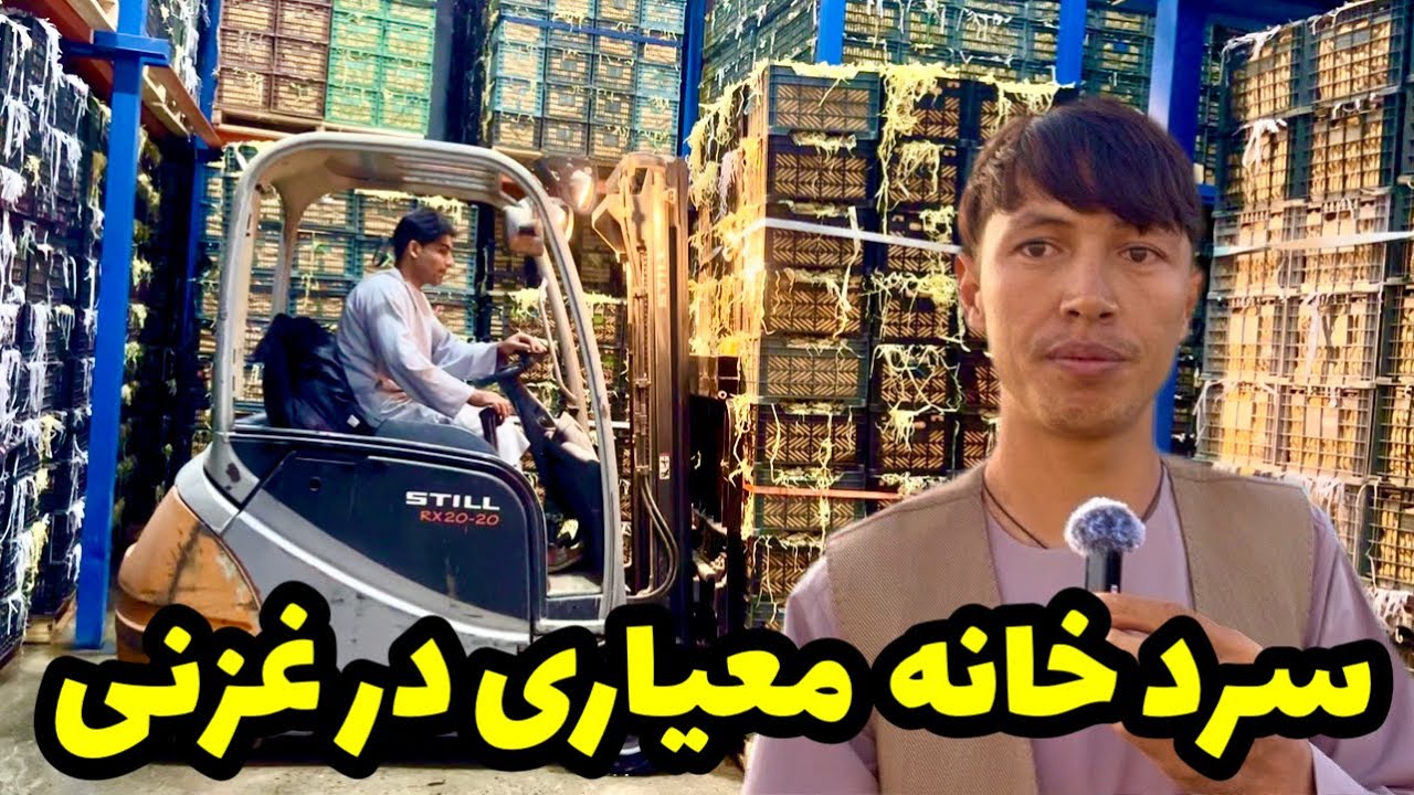 بزرگ‌ترین سرد خانه معیاری و شرکت سبد سازی با هزینه یک میلیون دالر امریکایی😱