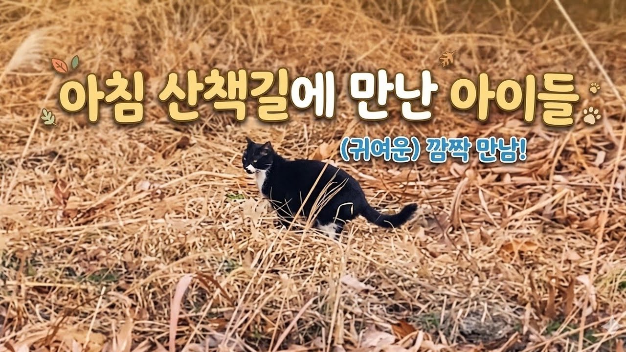 아침산책길에 만난 아이들 