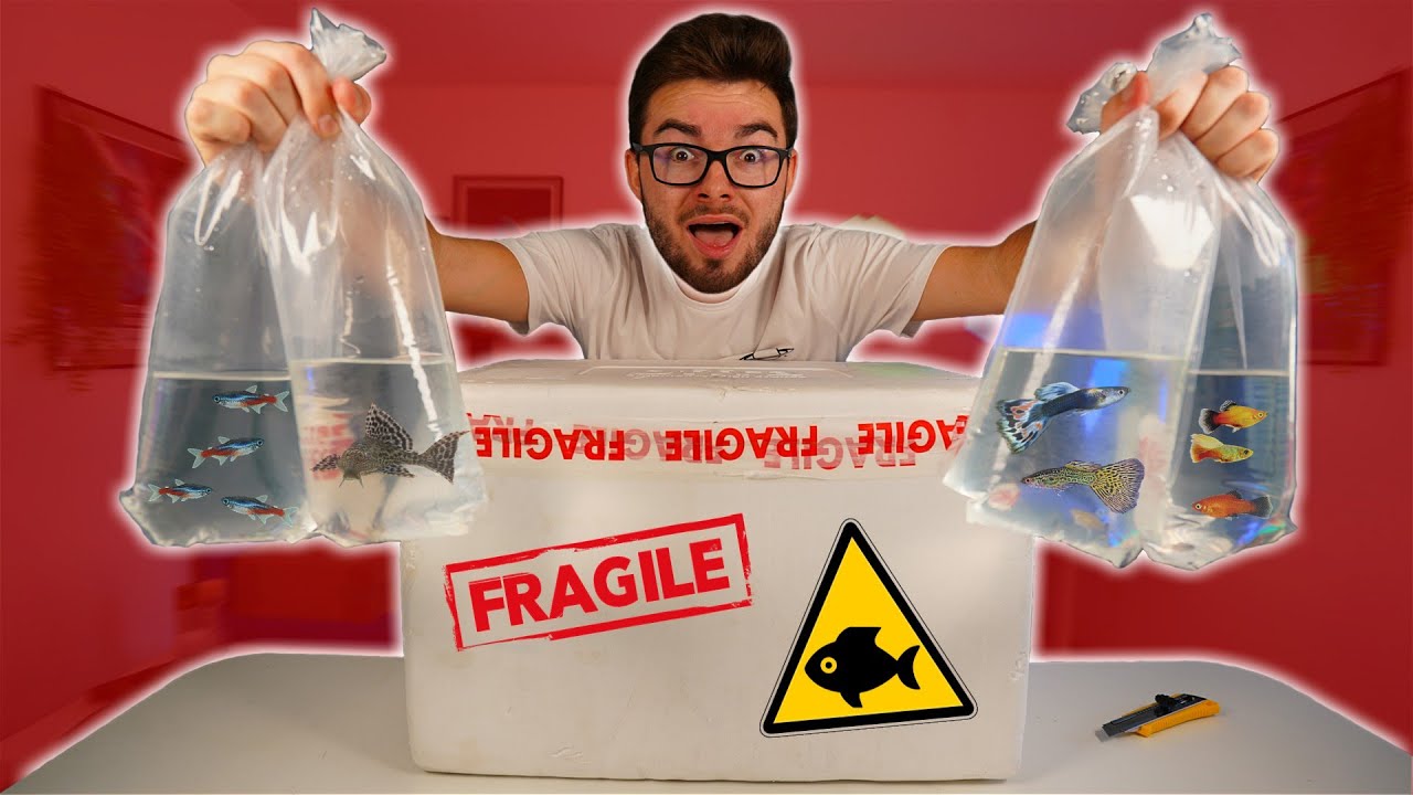 I RECEIVED FISH IN A PACKAGE! (Unboxing)