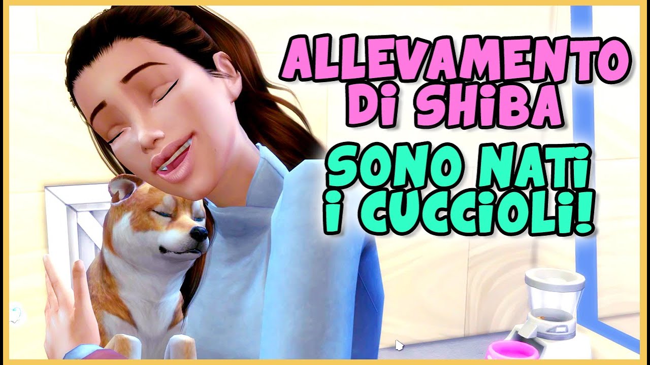 Un allevamento di cani Shiba su The Sims4!