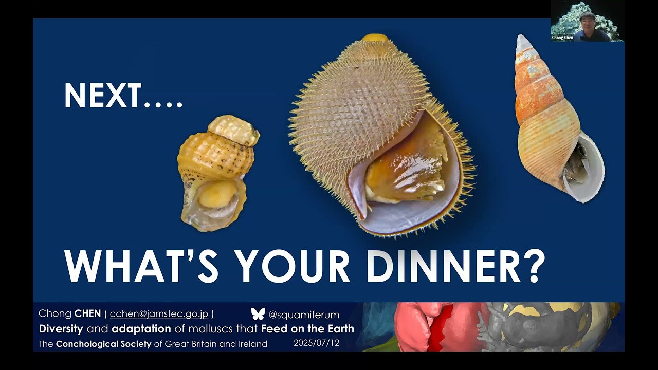 Chong Chen - How did molluscs from deep-sea hot vents and cold seeps evolve to 