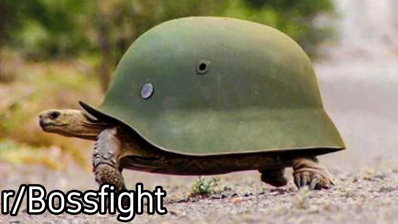 r/Bossfight | Turtle Soldier...