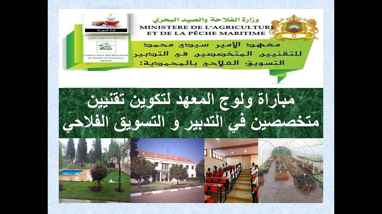 مباراة ولوج معهد الأمير سيدي محمد   للتقنيين المتخصصين في التدبير و التسويق الفلاحي IPSM بالمحمدية